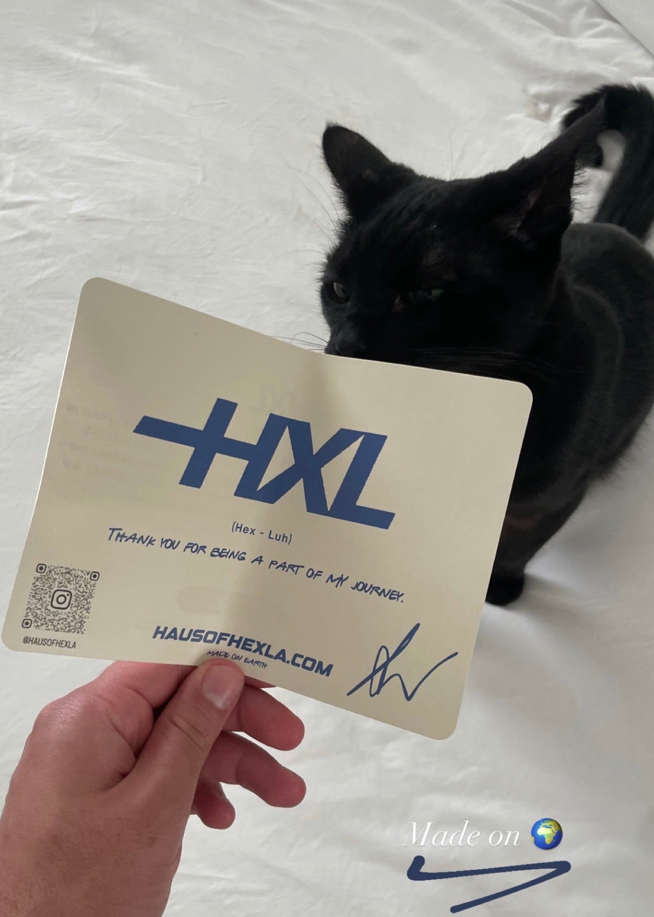 BEANIES X LIMITED $45USD